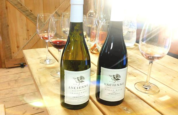 I see the light. Innaugaural releases of Lightfoot and Wolfville's Ancienne Chardonnay and Pinot Noir 2013